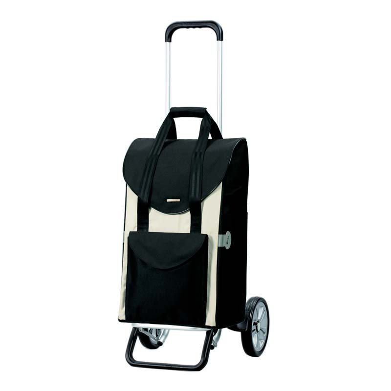 Senta carrello della spesa, Manico regolabile